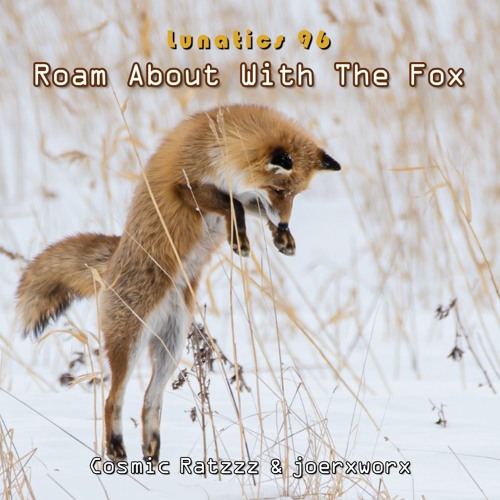 Lunatics 96 / Roam About With The Fox / Ratzzz & joerxworx