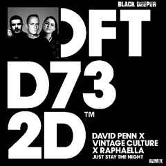 David Penn X Vintage Culture X Raphaella - Just Stay The Night (Black Deeper Remix)