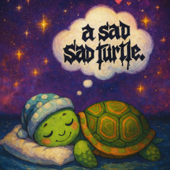 a sad sad turtle mix
