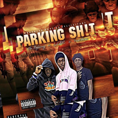 Parkin Shit (feat. 2woo3hreee & Lil Br)