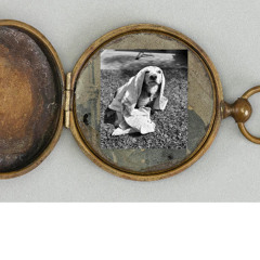 culto a la pachanga ^^