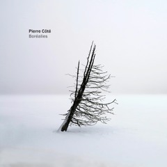 Boréalie VII - Neige