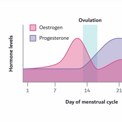 o͡͡͡╮༼ ◔ _ ◔ ༽╭o͡͡͡ micronised progesterone (◕‿◕✿)