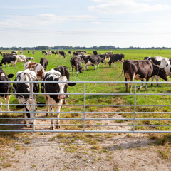 Investing beyond the farm gate
