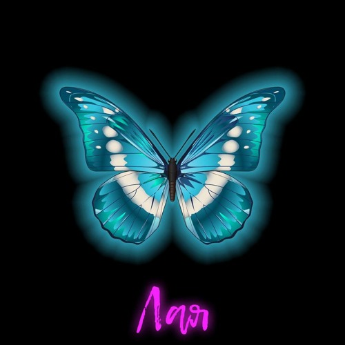 Нурминский - Лая