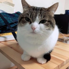 i remade looking for edge of ground and put mega man on it :thumbs_up: