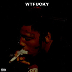 WTFUCKY (WTHELLY ROB49 REMIX)(Prod By Trigga Tre HRN)