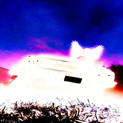 Nothing left
