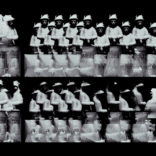 Fragment II: The Numb State