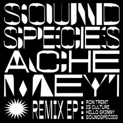 Soundspecies & Ache Meyi - Ogun Meyi Meyi (IG Culture Remix)