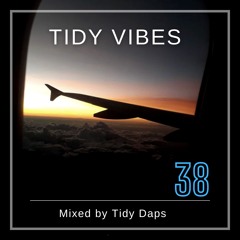 Tidy Vibes vol.38
