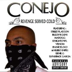 How Many Did I Smoke (feat. Street Platoon, Bugsy 2 Guns, Madogg, Knight Owl, Venom, Spanky Loco And Huero Snipes, Ernie G & DJ Payback Garcia)