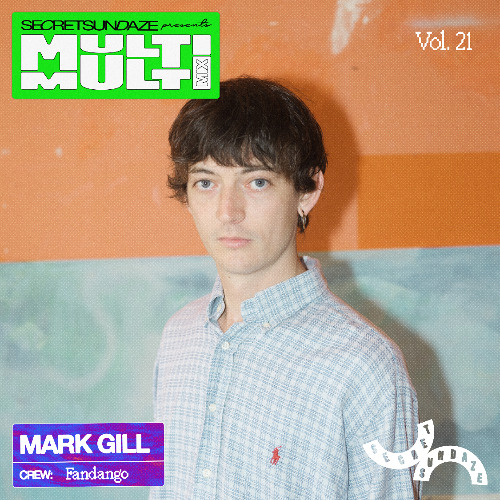 Multi Multi Mix Vol. 21: Mark Gill