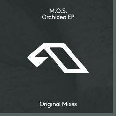 M.O.S. - Orchidea