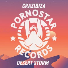 Desert Storm (Radio Mix)