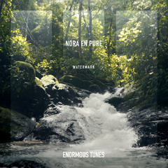 Nora En Pure - Watermark
