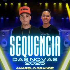 SEQUENCIA DAS NOVAS 2025 (( DJ RD SAN E DJ MF )) AMARELO GRANDE