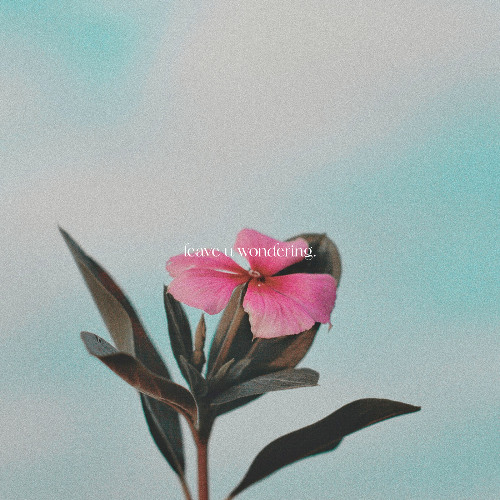 leave u wondering.