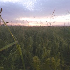 moloko - familiar feeling (plankton's country slice remix)