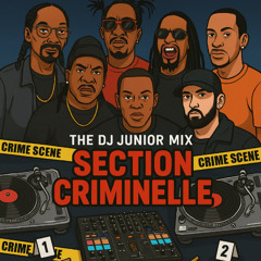 THE DJ JUNIOR SECTION CRIMINELLE MIXTAPE