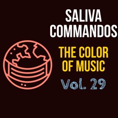 The Color Of Music Vol. 29