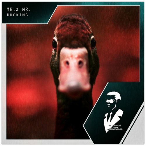 Mr. & Mr. - Ducking (Radio Edit)