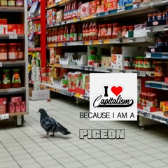 PigeonMarkus