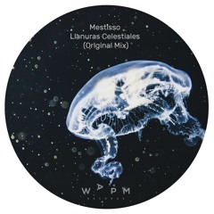 Mestisso - Llanuras Celestiales (Original Mix) [WAPM Records] Free Download