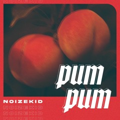 Noizekid - Pum Pum