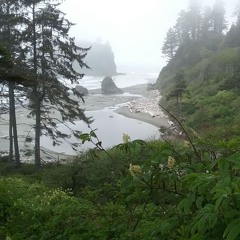 Mists of Ruby Beach