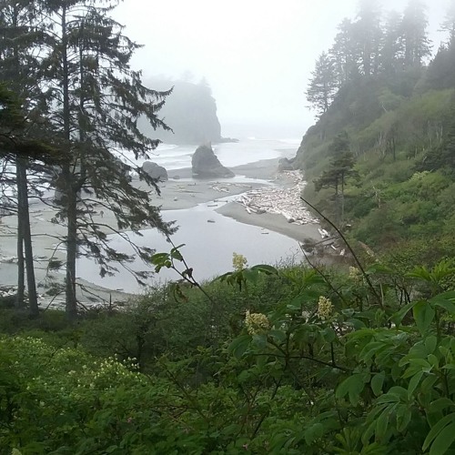 Mists of Ruby Beach