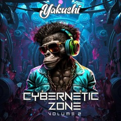 Cybernetic zone 2.0