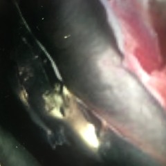 spawn - secret demo 2