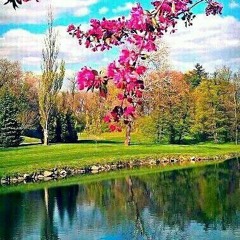 Tere koche mein tera deewana.mp3