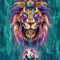 In the jungle the lions don't sleep tonight