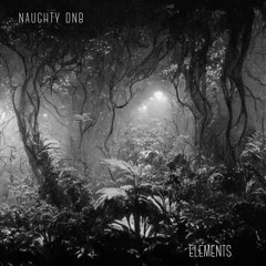 Dj J Instinct - Elements