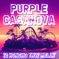 Purple Casanova