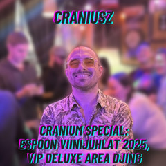 Cranium Special: Espoon Viinijuhlat 2025, VIP Deluxe Area DJing