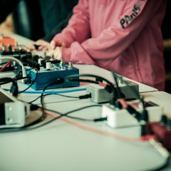 Les Guépards - La Terreur