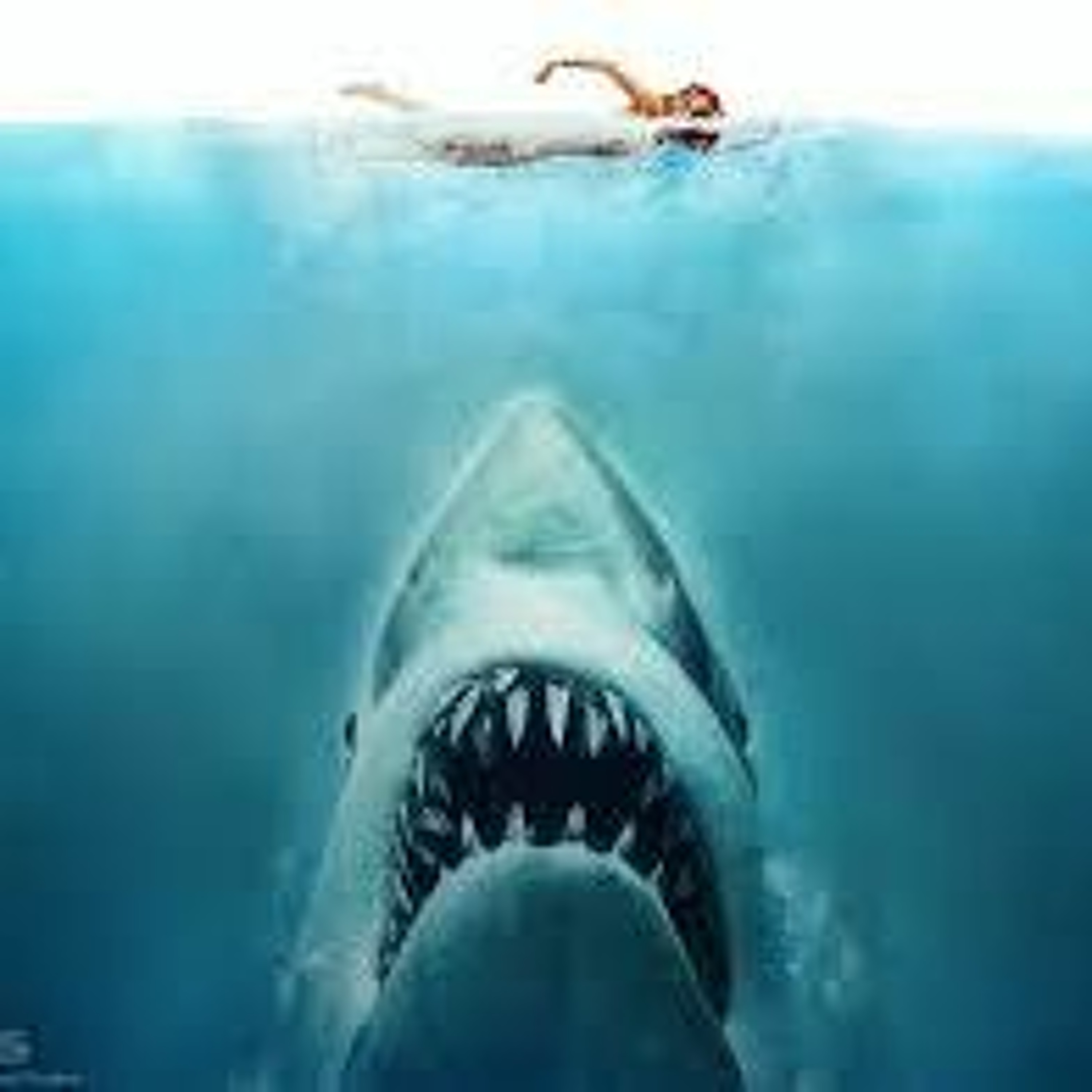 CINE-BUDDIES. LES DENTS DE LA MER (Avec Philippe Setbon et Jean Veber)
