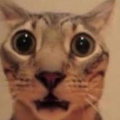 WHAT AM I LISTENING TO