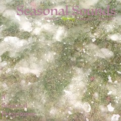 Seasonal Sounds #2: Spring