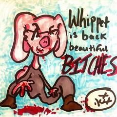 whippet