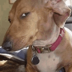 PROGRES - BALAGANCIEKAWANAZWA & TEK-ES (prod. micoo)