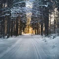 Driving home for Christmas cover