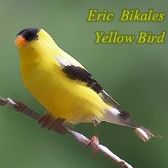 Yellow Bird