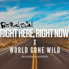 World Gone Wild X Right Here, Right Now (HADEN Mashup) - FREE DL (Fatboy Slim, Robin Schulz, Cyril)