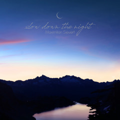 Slow Down the Night