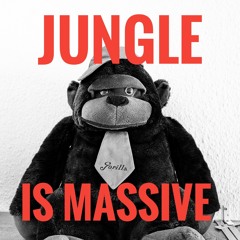 Jungle is Massive Vol. 1 (Vinyl-Set)