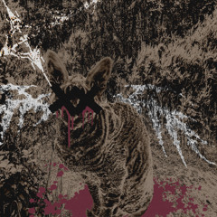 Bloody Suicide (ON ALL PLATFORMS)